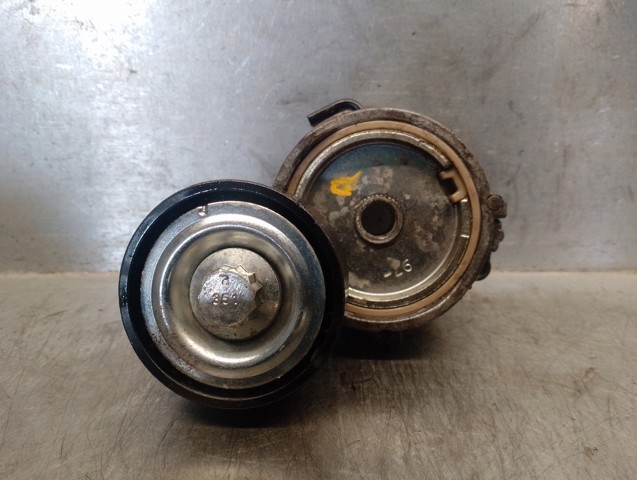 9675874680 PEUGEOT Tensor de correa de accesorios  comprar en Jaén