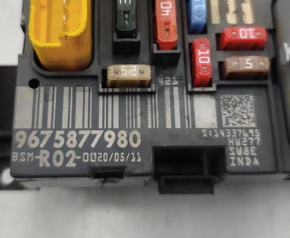 9675877980 Peugeot/Citroen