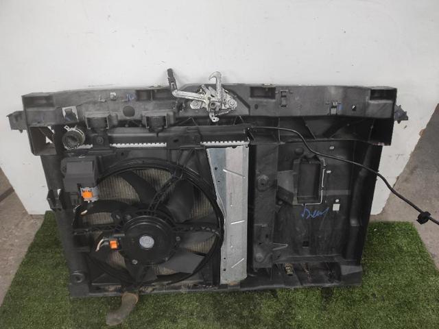 9676534380 Panel de soporte del radiador y montaje de faros  comprar en Reus