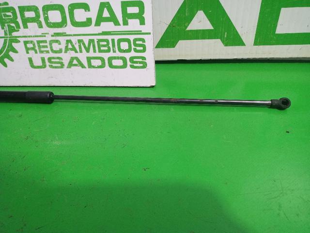 9676537380 Amortiguador de capó  comprar en Reus