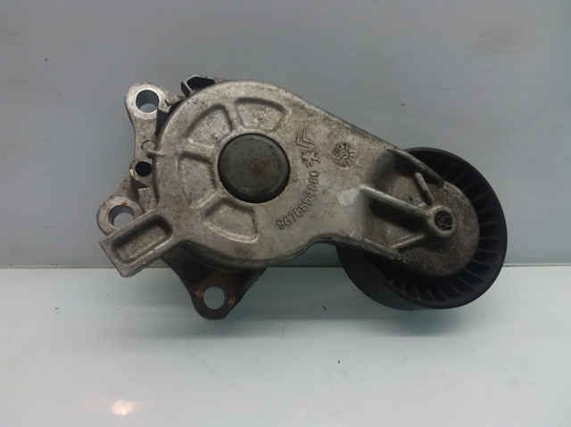 9676854880 Peugeot/Citroen