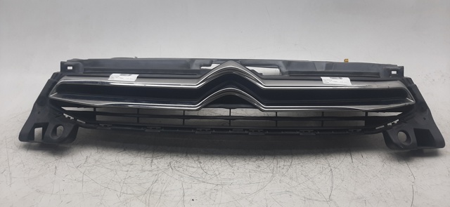 Ajuste Panel Frontal (Calibrador De Radiador) Superior 9676958580 Peugeot/Citroen