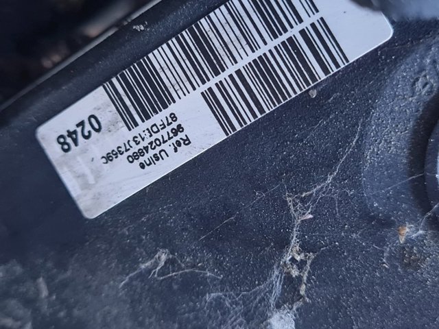 9677024880 Peugeot/Citroen
