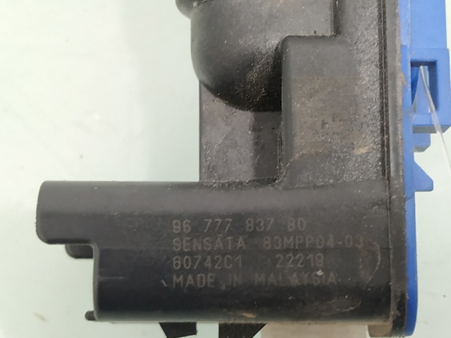 9677783780 Peugeot/Citroen