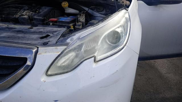 9677810180 Peugeot/Citroen
