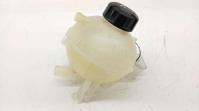 PEUGEOT 9678125880 Vaso de expansión comprar Tarragona