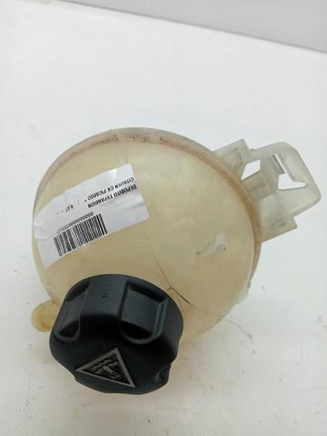 9678125880 Peugeot/Citroen