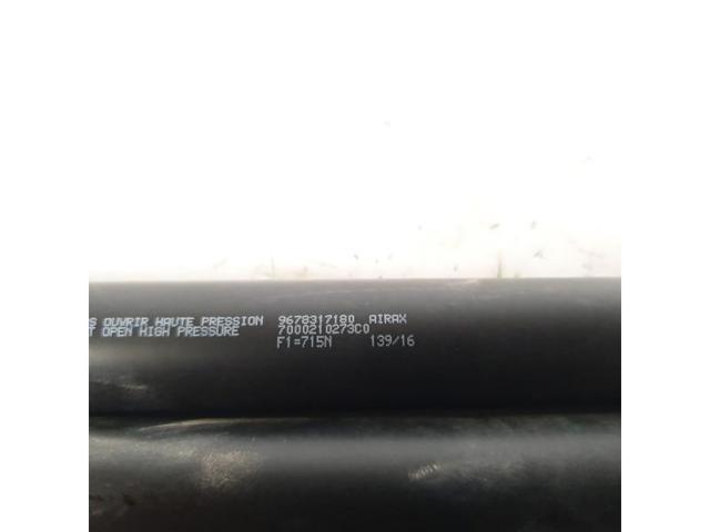 9678317180 PEUGEOT Amortiguador de la tapa del maletero  comprar en Jaén