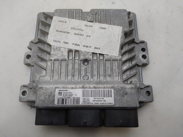 9678628780 Peugeot/Citroen
