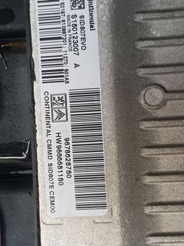 9678628780 Peugeot/Citroen