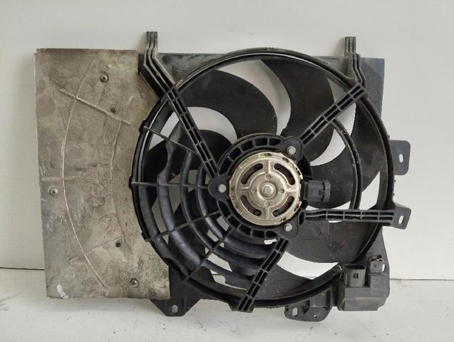 9680102880 Peugeot/Citroen