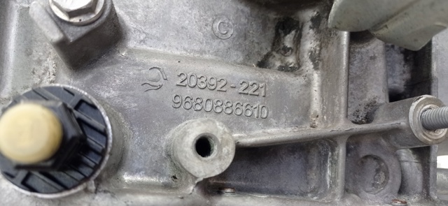 9680886610 Peugeot/Citroen