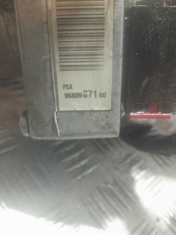 9680987180 Peugeot/Citroen