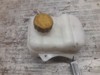 Depósito de anticongelante 96813425 GM