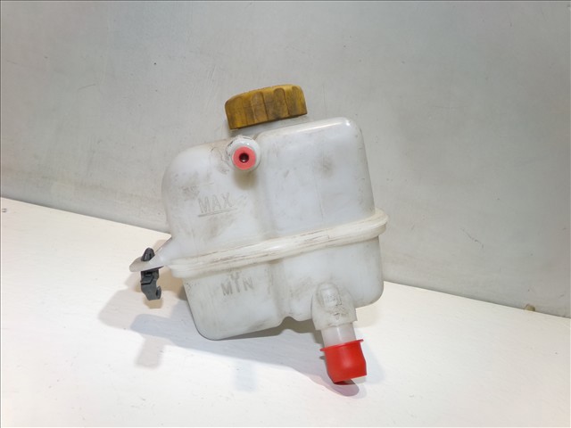 Botella de refrigeración Chevrolet Aveo 2 T250, T255