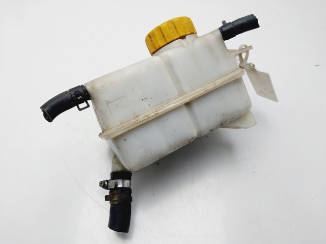 GM 96817343 Depósito de expansión del sistema de refrigeración  disponible Lugo