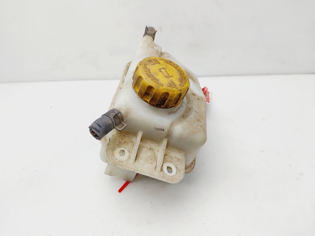 GM 96817343 Depósito de expansión del sistema de refrigeración  disponible Lugo