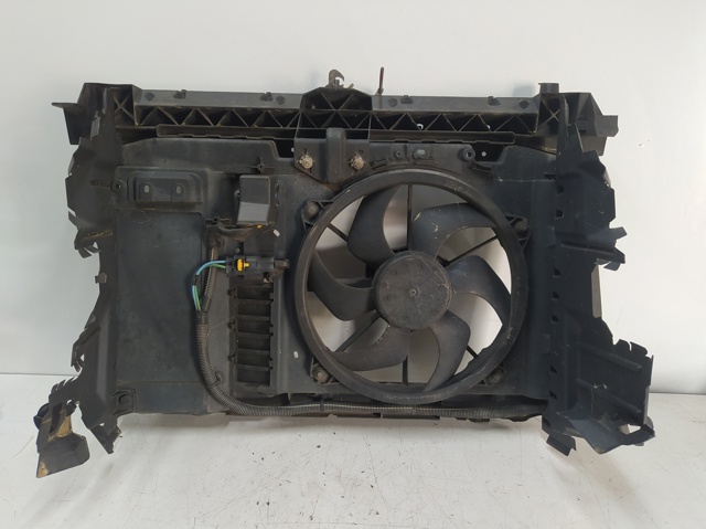 9682720480 Peugeot/Citroen