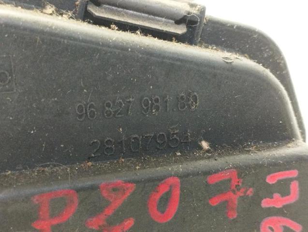 9682798180 Cuerpo de mariposa comprar Almería