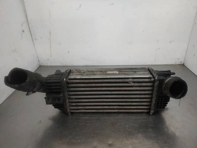 9683009680 Peugeot/Citroen