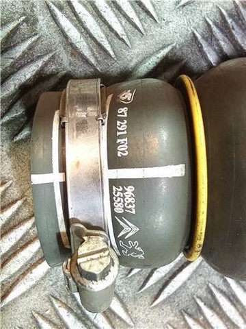 9683725580 PEUGEOT Manguera del intercooler  comprar en Lleida