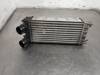 Radiador de intercooler Peugeot 308 1