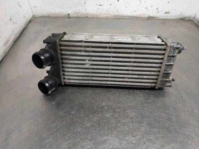 9684212480 Peugeot/Citroen