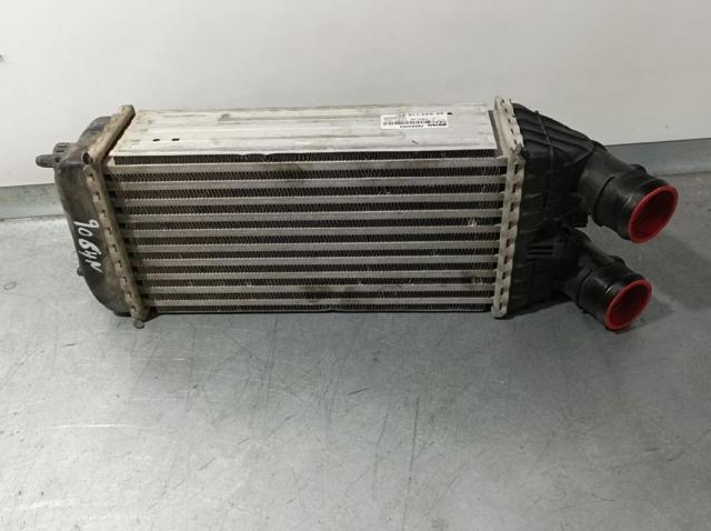 9684311680 Peugeot/Citroen