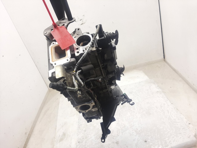 Culata de motor 301  sedán (2013-2026) original desde 345,58 €