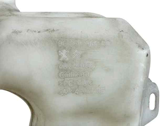 9685005580 Peugeot/Citroen