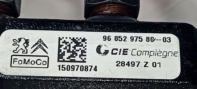 9685297580 FORD Rampa de combustible  en stock Córdoba