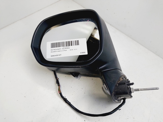 96854091XT Peugeot/Citroen