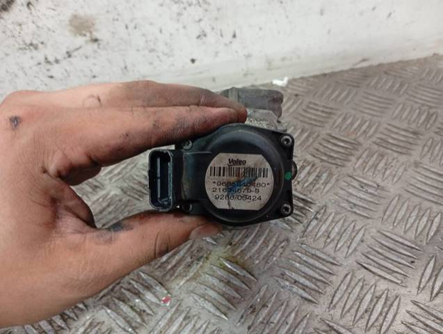 9685640480 PEUGEOT Válvula EGR comprar Alcalá