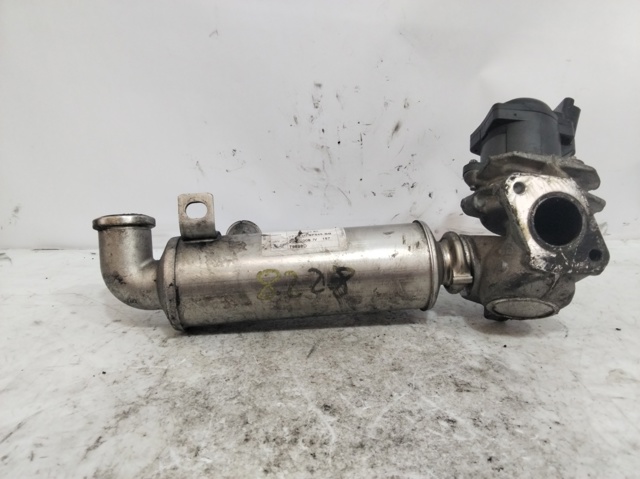 9685640480 PEUGEOT Válvula EGR  en stock Gandía