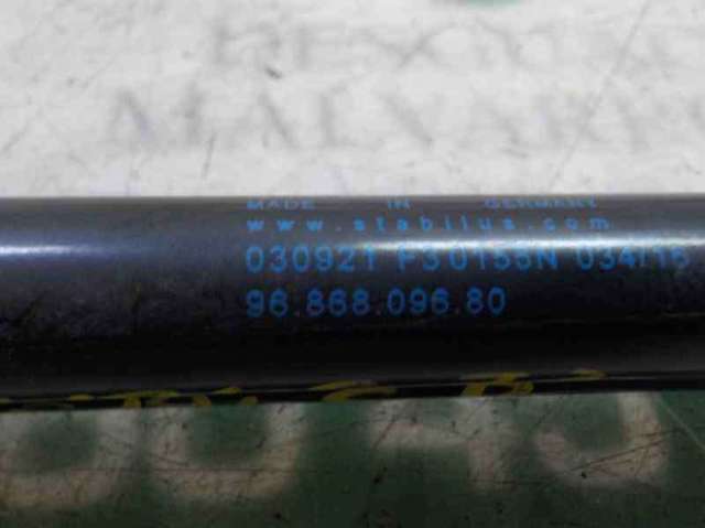 9686809680 Peugeot/Citroen