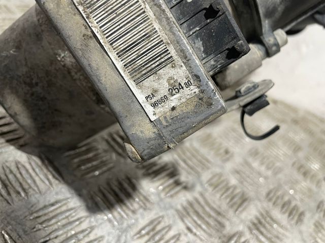 9686925480 Peugeot/Citroen