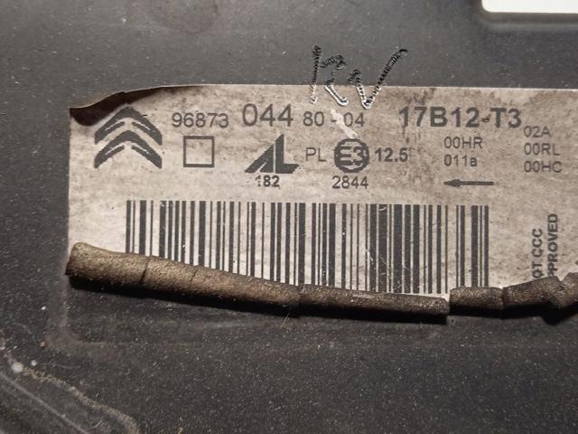 9687304480 Peugeot/Citroen
