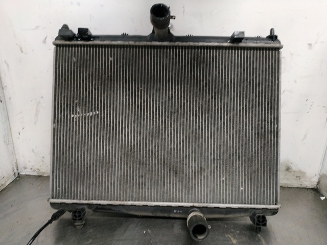 PEUGEOT 9687359980 Radiador de refrigeración del motor  comprar en Murcia