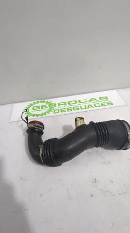 PEUGEOT 9687883680 Conducto de aire, salida del filtro de aire  comprar en Ponferrada