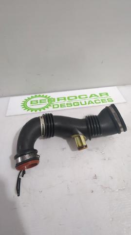 PEUGEOT 9687883680 Conducto de aire, salida del filtro de aire comprar Pamplona