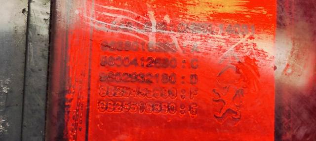 9688016380 PEUGEOT Luz de freno trasera adicional  disponible Ourense