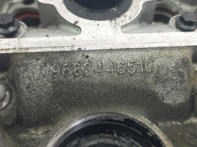 9688418110 Peugeot/Citroen