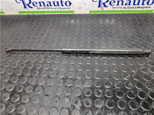 9689004580 Amortiguador maletero comprar Almería