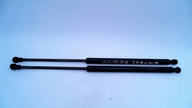 Amortiguador maletero 96940955 GM