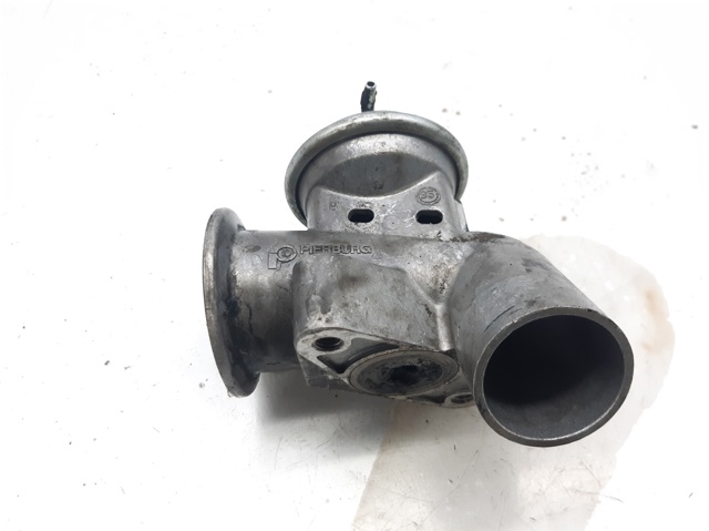 EGR Ford Escort VII (ALL)