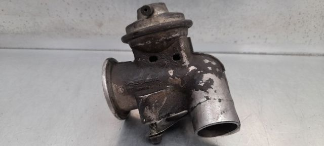 Comprar EGR Escort VII ALL