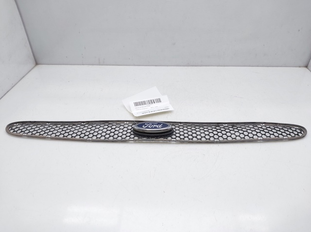 Rejilla de radiador Ford Ka  (RBT)