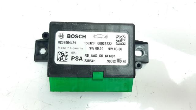 9800210580 Peugeot/Citroen