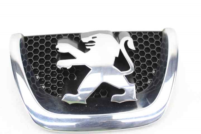 9800313880 Peugeot/Citroen