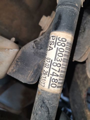 9800387480 Peugeot/Citroen